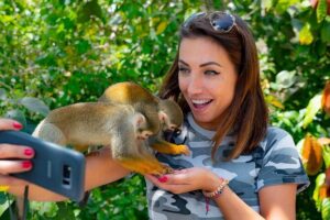 Monkeyland & Plantation Safari Full Day from Juan Dolio - Botanical Garden Walking: Native Plants You Can Actually Name