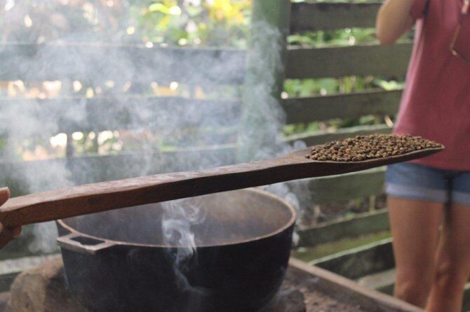 Monkeyland & Plantation Safari Full Day from Juan Dolio - Lunch That’s Included: What You Should Know About the Buffet