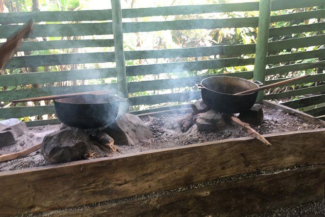 Monkeyland & Plantation Safari Full Day from Juan Dolio - Timing and Transport: The Juan Dolio to La Romana Day Plan