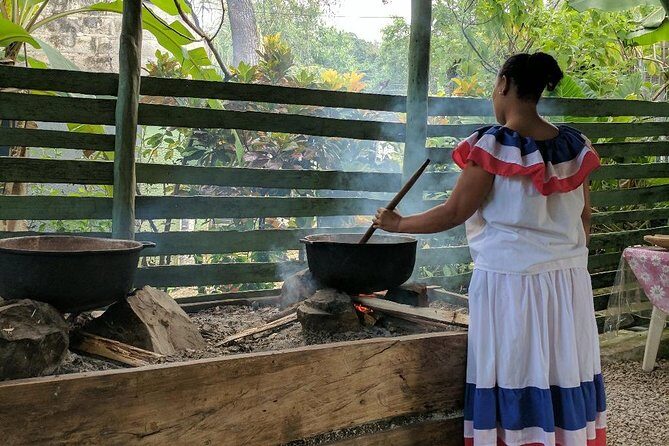 Monkeyland & Plantation Safari Full Day from Juan Dolio - Who This Tour Fits Best (And Who Should Skip)