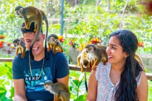Monkeyland Puerto Plata - Riding the Open-Air Safari Truck: Wildlife Energy, Practical Comfort