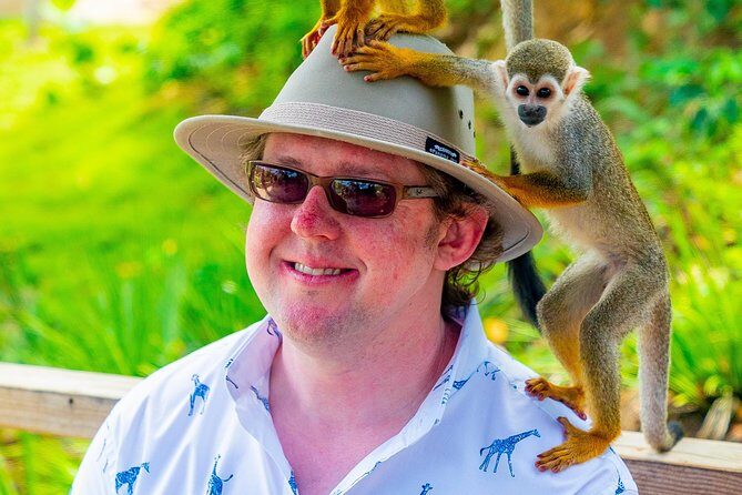 Monkeyland Puerto Plata - What You Get Beyond Monkeys: Coffee, Hot Chocolate, and More