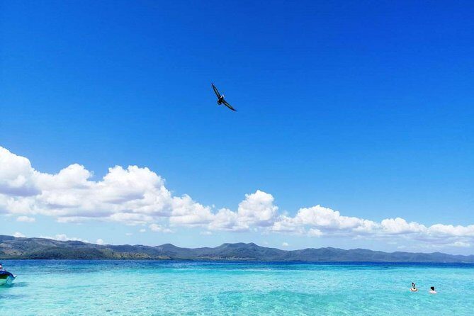 Paradise Island & Mangroves Tour - Paradise Island and the mangroves: what kind of day this is