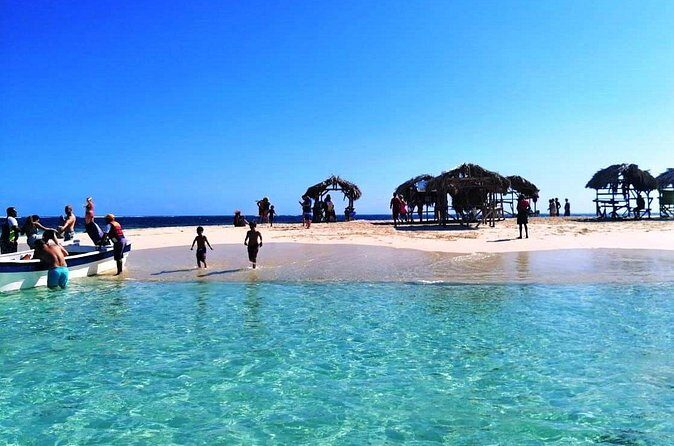 Paradise Island & Mangroves Tour - Cayo Arena (Paradise Island): beach time, fruits, and guided snorkeling