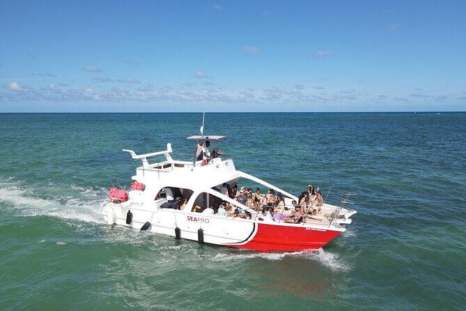 Party Boat Cruise from Punta Cana - Sunset Party Boat in Punta Cana: What the Experience Really Feels Like