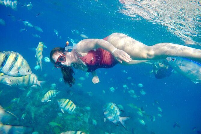 Private all-inclusive snorkeling at sosua beach. - Getting ready: mask, fins, life jacket, and quick water guidance