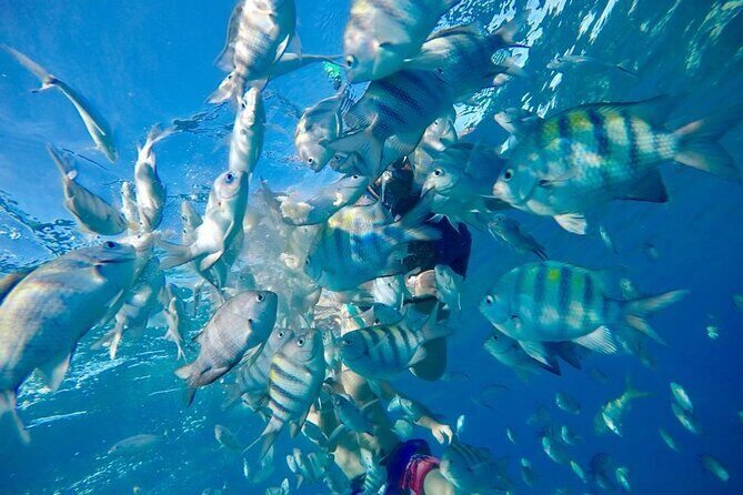 Private all-inclusive snorkeling at sosua beach. - Stop 1 at Sosua Beach: calm water, coral, and marine life