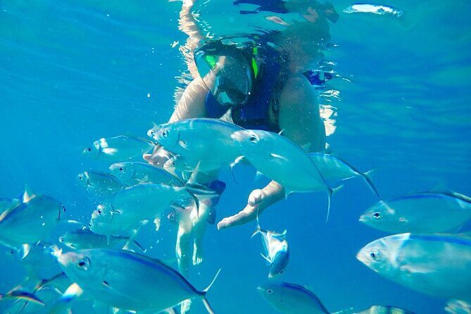 Private all-inclusive snorkeling at sosua beach. - Stop 2: three coral rock pine cones and the second reef