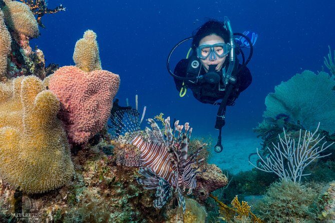 Private Bayahibe 3 Tank Diving with Lunch from Punta Cana - Key Highlights at a Glance