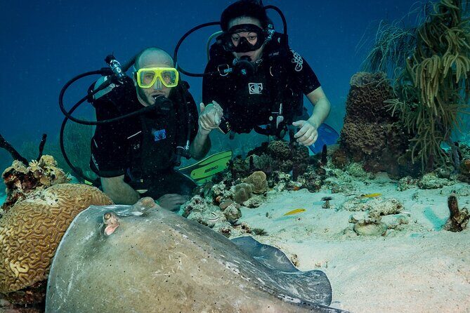 Private Bayahibe 3 Tank Diving with Lunch from Punta Cana - Lunch at Bayahibe: A Real Break (Not Just a Snack)