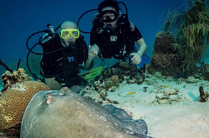 Private Bayahibe 3 Tank Diving with Lunch from Punta Cana - Gear Included vs. Gear You Might Need to Bring