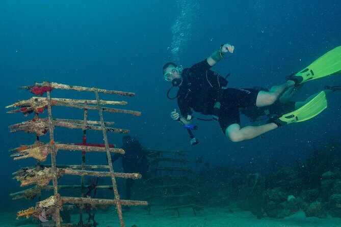 Private Bayahibe 3 Tank Diving with Lunch from Punta Cana - What Happens on the Boat Before Your First Water Time