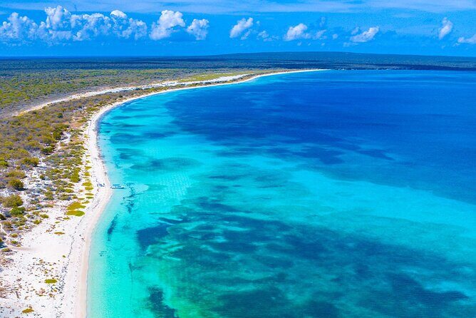 Private Catamaran Cruise to Bahia de las Aguilas - Should you book this Private Catamaran Cruise to Bahía de las Águilas?