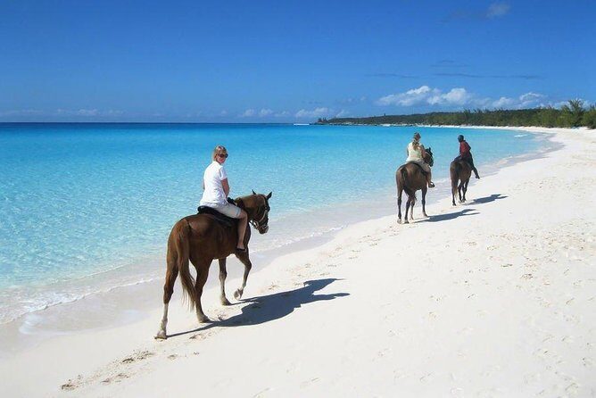 Private Macao Beach horseback riding in punta cana and Bayahibe - Key Highlights You Should Care About