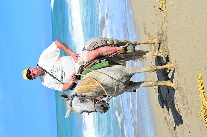 Private Macao Beach horseback riding in punta cana and Bayahibe - Pickup, Timing, and the WhatsApp Check-In Reality
