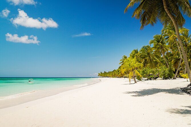 Private Saona Island Excursion - A Private Speedboat Day to Saona and the Parque Nacional del Este