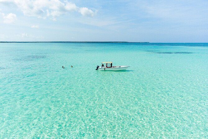 Private Saona Island Excursion - Drinks and Lunch: What’s Included, What’s Extra, and What to Expect