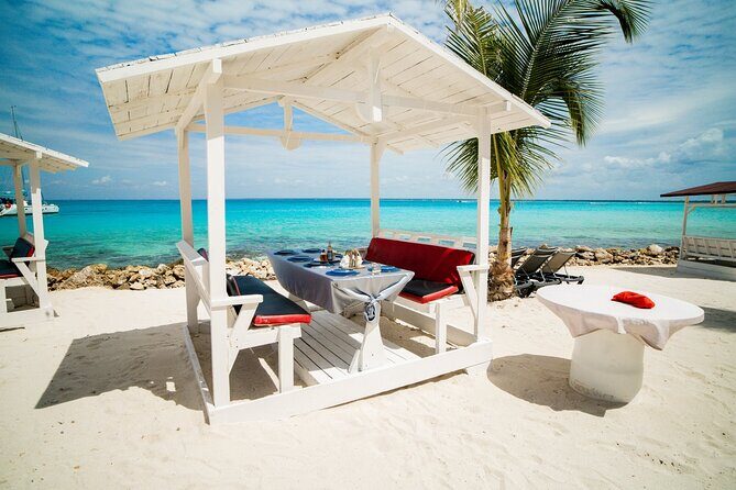 Private Saona Island Excursion - Photos, Videos, and the Sales Side You Can’t Fully Skip
