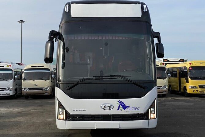 Private Transfer From or to Punta Cana Airport to hotels in Bávaro - Where this transfer fits best in your Bávaro plan