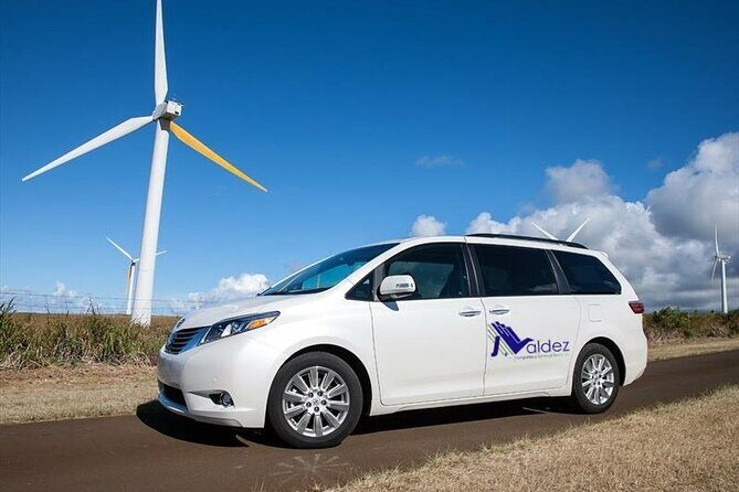 Private Transfer From or to Punta Cana Airport to hotels in Bávaro - Getting picked up: how the name sign helps you land faster