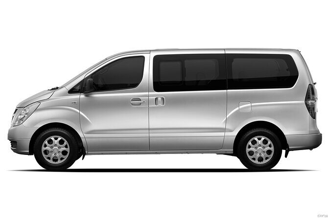 Private Transfer in Punta Cana from Airport and Hotels - Should You Book This Private Punta Cana Transfer?