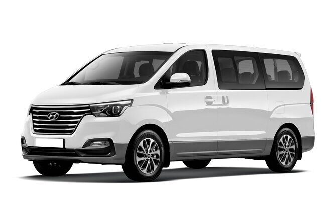 Private Transfers From Punta Cana To Bavaro - Family Notes: Car Seats and Service Animals