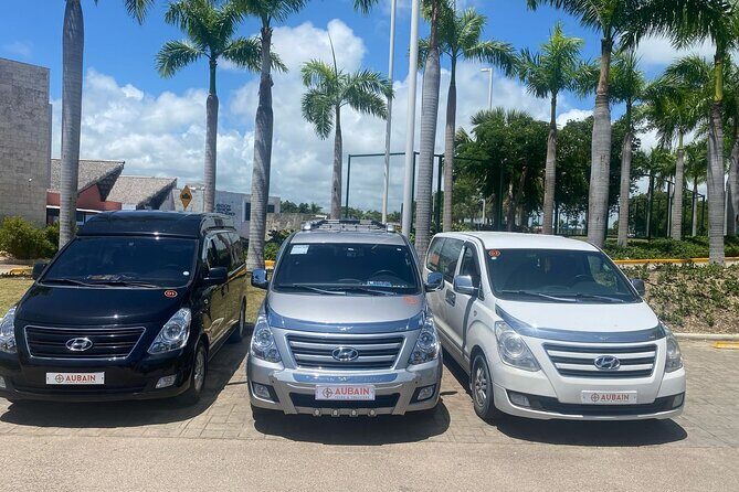 Private Transfers From Punta Cana To Bavaro - Who Should Book This Transfer From Punta Cana to Bavaro?