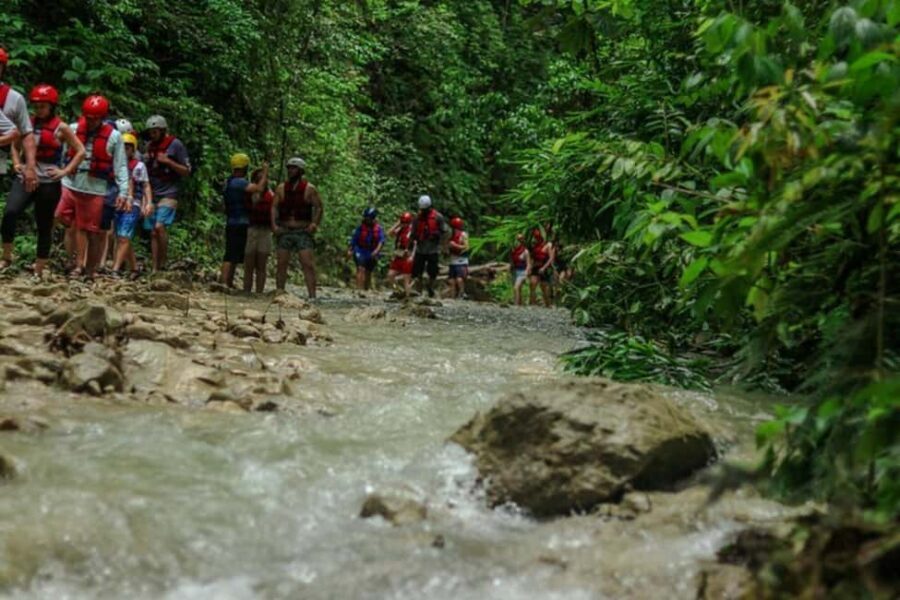 Puerto Plata: 27 Waterfalls Adventure with Traditional Lunch - The Hike Through Forests and Scenic Bridges