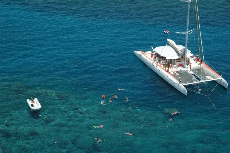 Puerto Plata: Catamaran Snorkeling Trip w/ Buffet & Open Bar - Value Check: Why $79 Can Make Sense for a Full Hosted Day