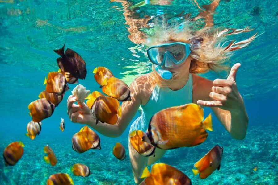 Puerto Plata: Catamaran Snorkeling Trip w/ Buffet & Open Bar - Getting There Smoothly: Pickup Options and the Short Coach Ride