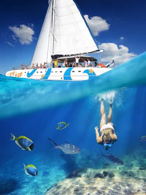 Puerto Plata: Catamaran Snorkeling Trip w/ Buffet & Open Bar - Stop One: A Coral Reef Snorkel Where the Variety Starts