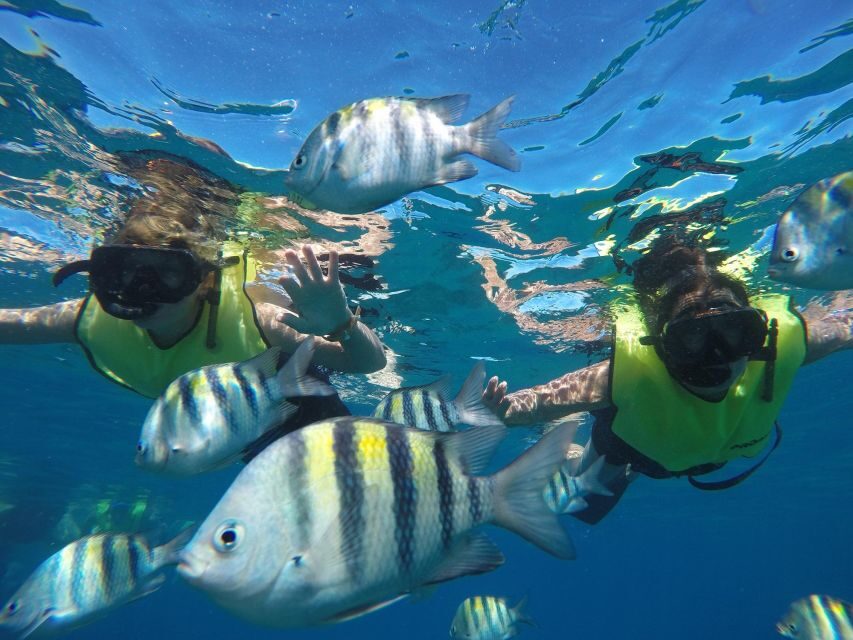 Puerto Plata: Catamaran Snorkeling Trip w/ Buffet & Open Bar - Sailing Along Puerto Plata: Music, Animation, and Coastline Time
