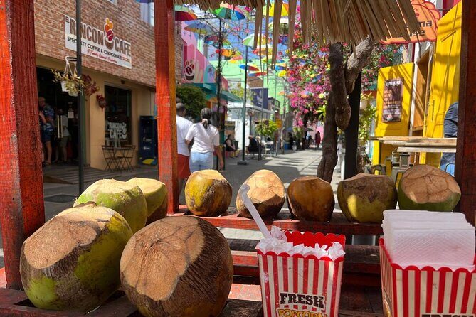 Puerto Plata City Private Tour - Paseo de Doña Blanca Rose Alley: A Breather Between Big Stops