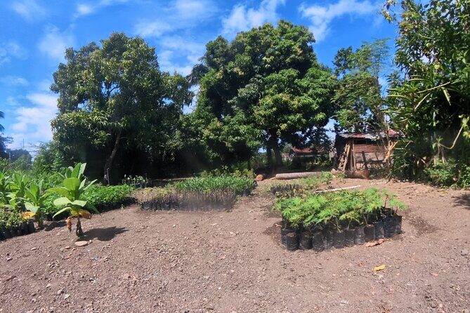 Puerto plata city tour and beach - Stop 2: Puerto Plata City Stops From Rum and Amber to Pink Street