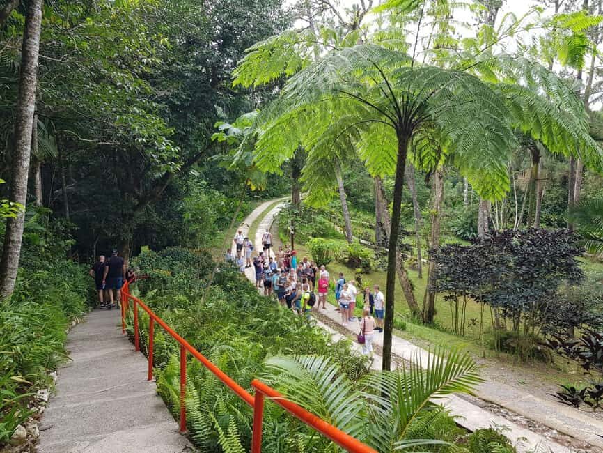 Puerto Plata: City Tour, Mountain and Lunch - Lunch and rum: Dominican comfort food without the guesswork