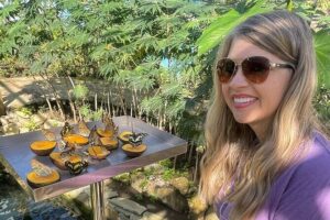 Puerto Plata City Tour with Butterfly Garden - Umbrella Street: the quick, colorful start that gets your bearings