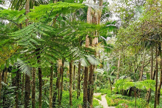 Puerto Plata City Tour with the Mount Isabel, Rum & Chocolate - Why This Puerto Plata Loop Works in One Day