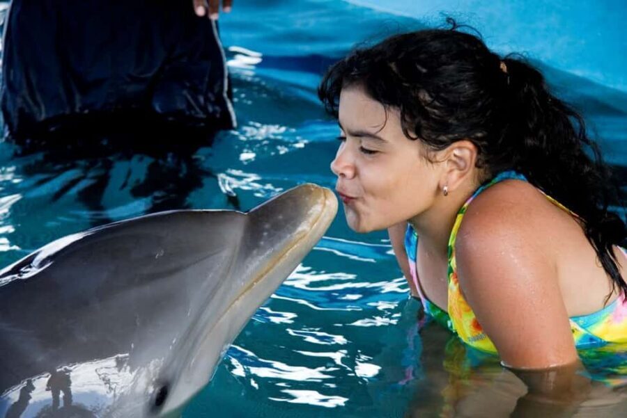 Puerto Plata: Dolphin Encounter at Ocean World - Key Points That Matter Before You Go