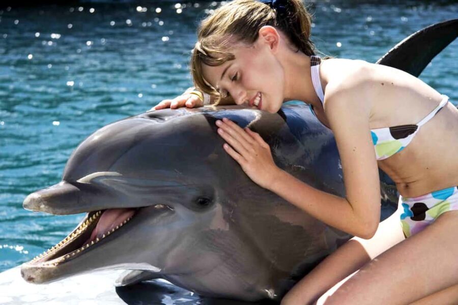 Puerto Plata: Dolphin Encounter at Ocean World - Ocean World Dolphin Encounter: What You Do in Waist-Deep Water