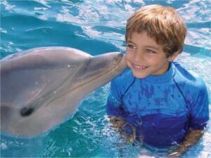 Puerto Plata: Dolphin Encounter at Ocean World - The 15-Minute Program and Pre-Lecture (Yes, It’s Part of the Value)