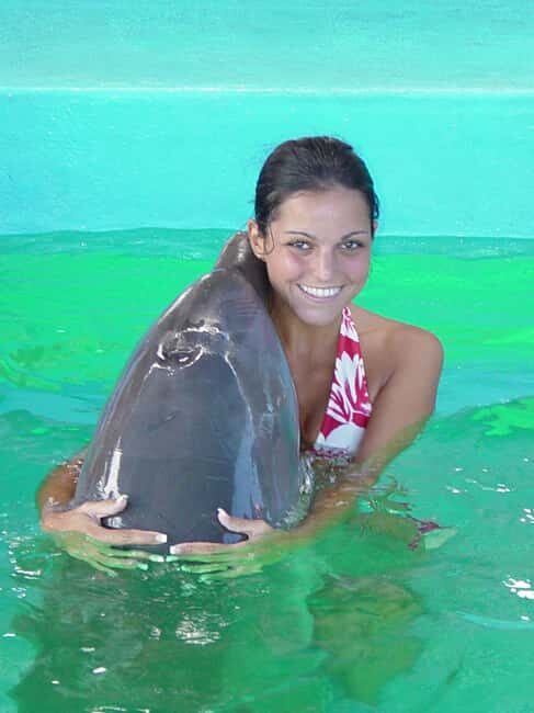 Puerto Plata: Dolphin Encounter at Ocean World - Day Pass at Ocean World: Dolphin Lagoon, Pirate’s Pool, Rainforest, and Birds