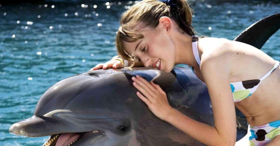 Puerto Plata: Dolphin Encounter at Ocean World - Getting There, Staying Comfortable, and Following the Dolphin Rules
