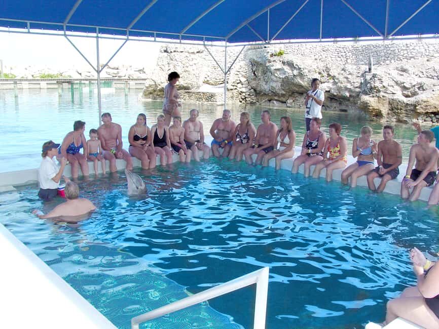 Puerto Plata: Dolphin Encounter at Ocean World - FAQ