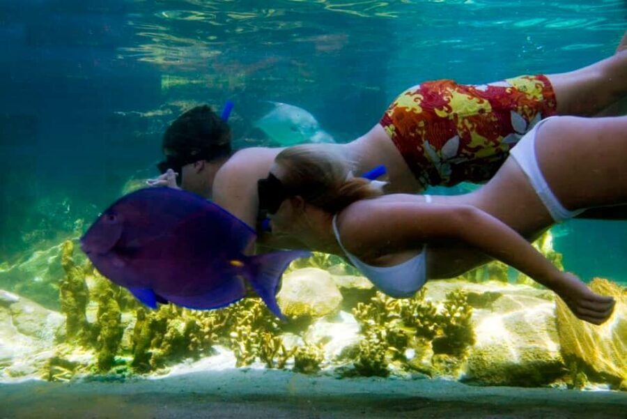 Puerto Plata: Ocean World Adventure Park Day Pass - Key Takeaways Before You Go