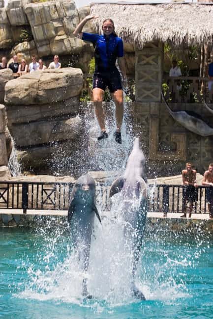 Puerto Plata: Ocean World Adventure Park Day Pass - A Full-Day Pass to Ocean World’s Aquatic World