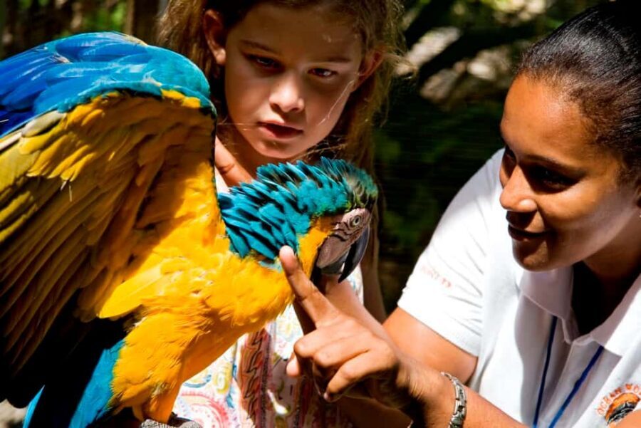 Puerto Plata: Ocean World Adventure Park Day Pass - Rainforest Walk, Iguanas, and the Bird Exhibit That Adds Balance