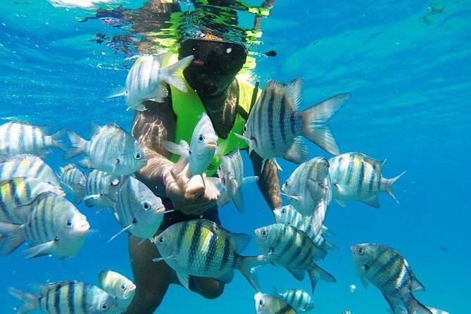 Puerto Plata Shore Excursion, Snorkeling tour & Sosua Beach Day - Pickup, timing, and how the 5.5 hours actually play out