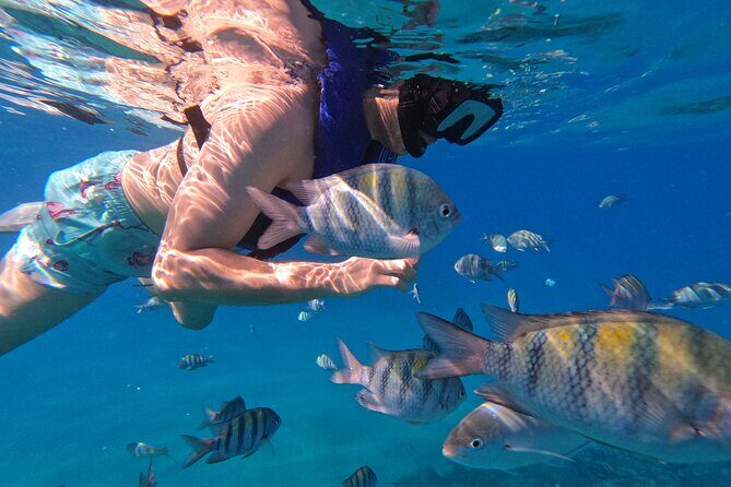Puerto Plata Shore Excursion, Snorkeling tour & Sosua Beach Day - Two reef stops: how you’ll experience Sosúa Bay