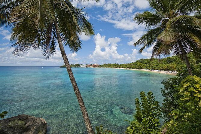 Puerto Plata Shore Excursion, Snorkeling tour & Sosua Beach Day - What to watch for while snorkeling (and why the guide matters)