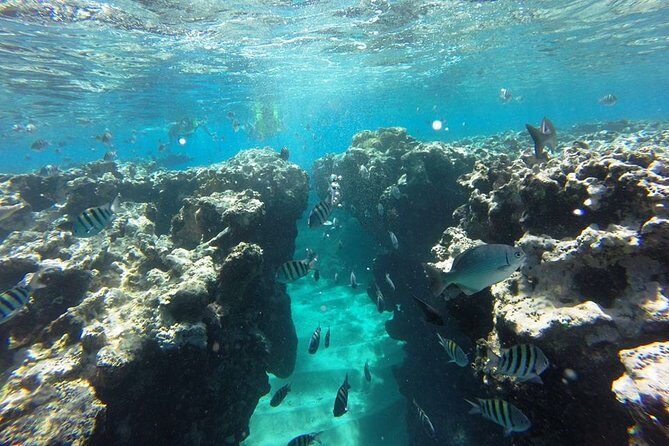 Puerto Plata Shore Excursion, Snorkeling tour & Sosua Beach Day - The boat ride: small speed boat energy, not catamaran cruising